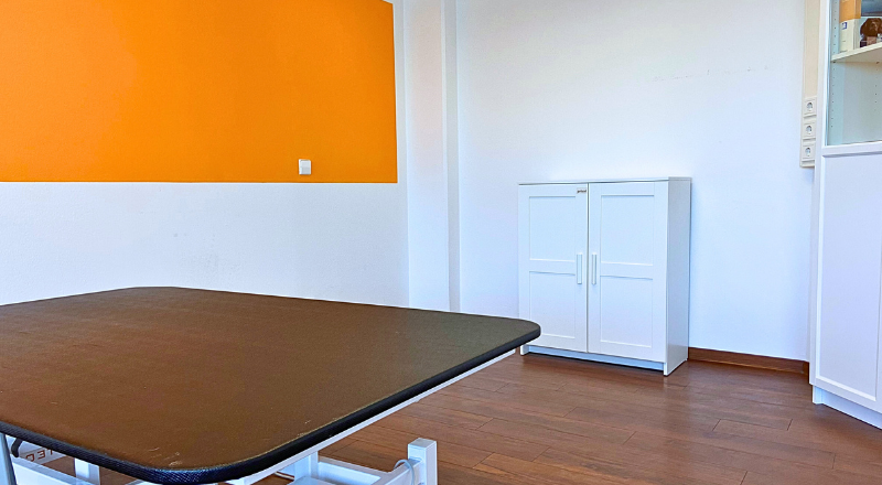 Tiertherapie im Ausbildungszentrum Sarah Mergen