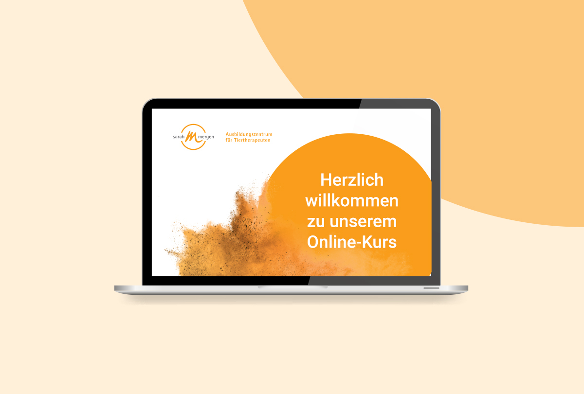 Webinar, Aufzeichungen, lehrvideos