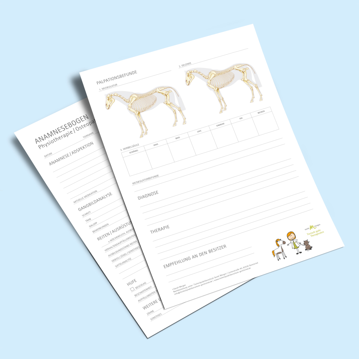 Anamnesebogen Manualtherapie Pferd