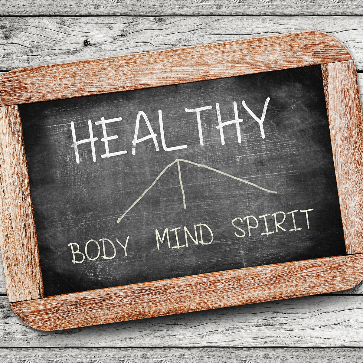 Kinesiologie Tiere Ausbildung