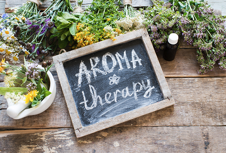 Aromatherapie für Tiere