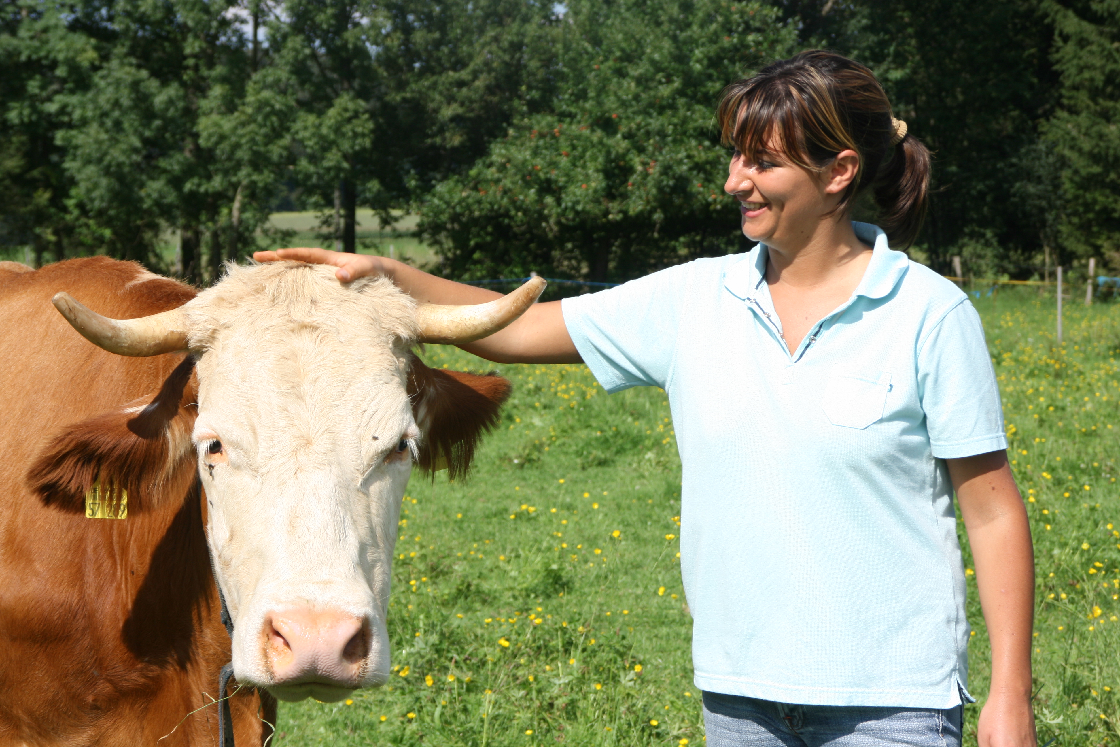 Ausbildung Naturheilverfahren am Rind