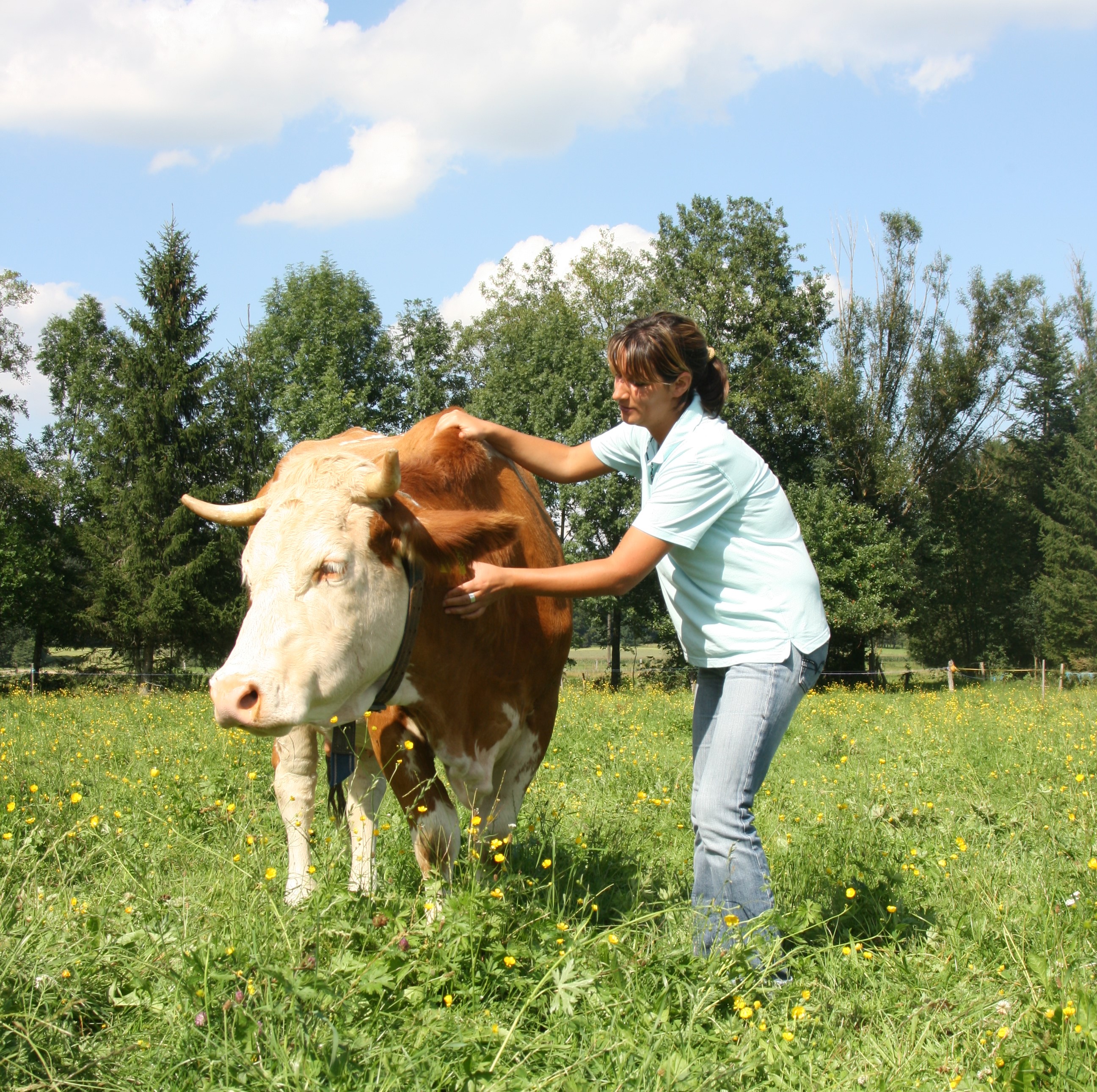 Ausbildung zum Landwirt