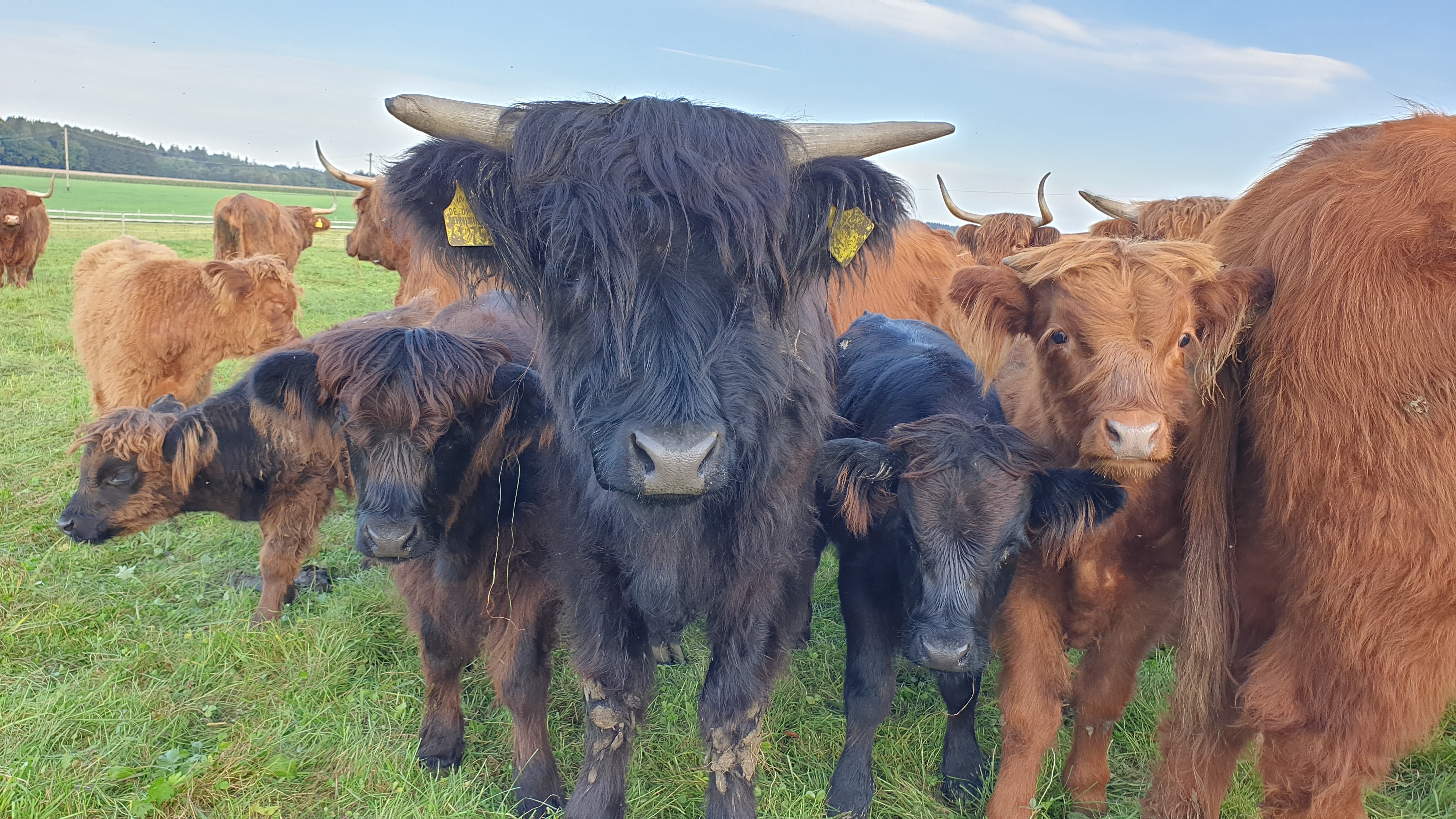 Landwirtschaftliche Ausbildung