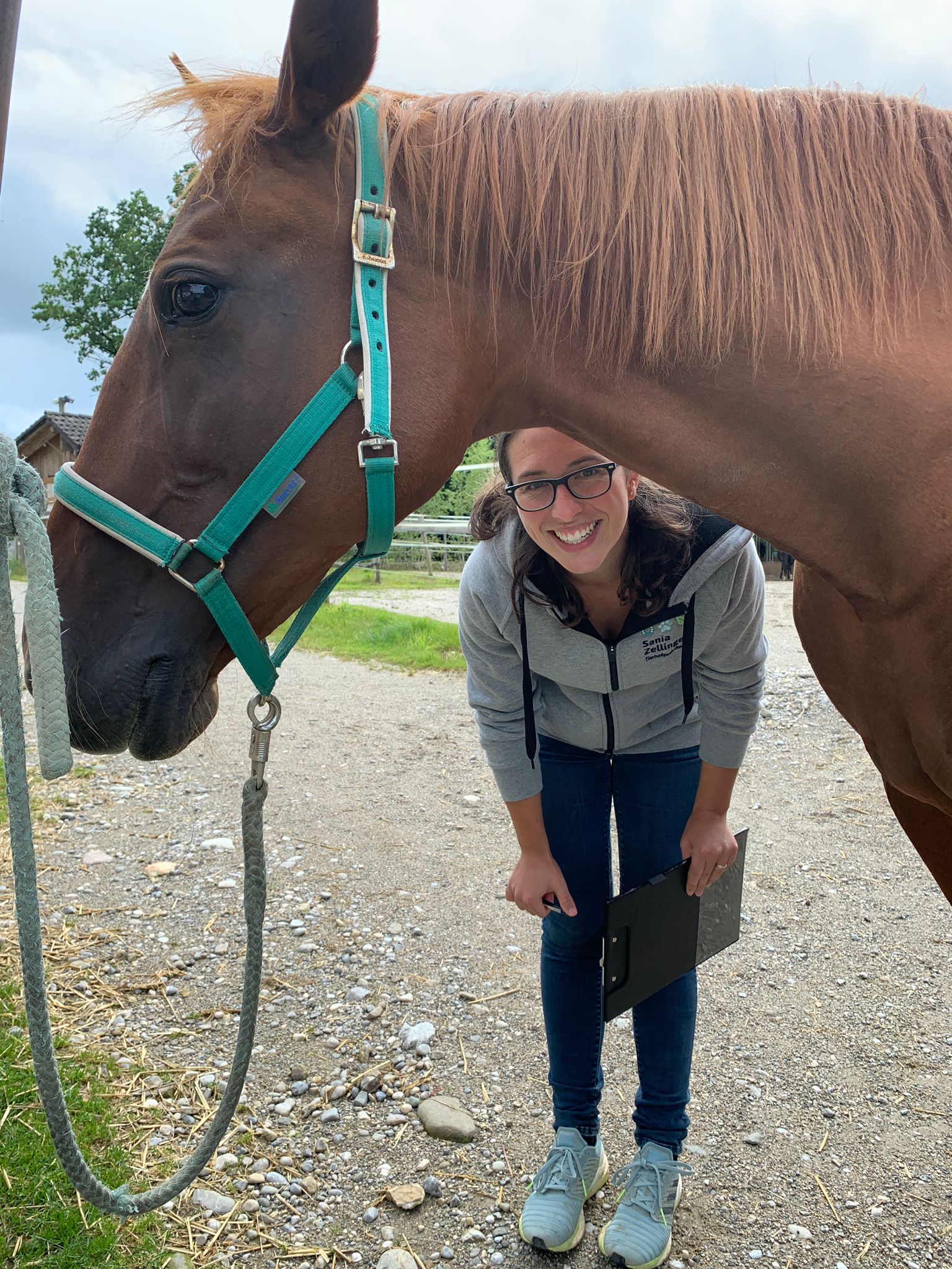 Tiergestützter Therapeut Ausbildung
