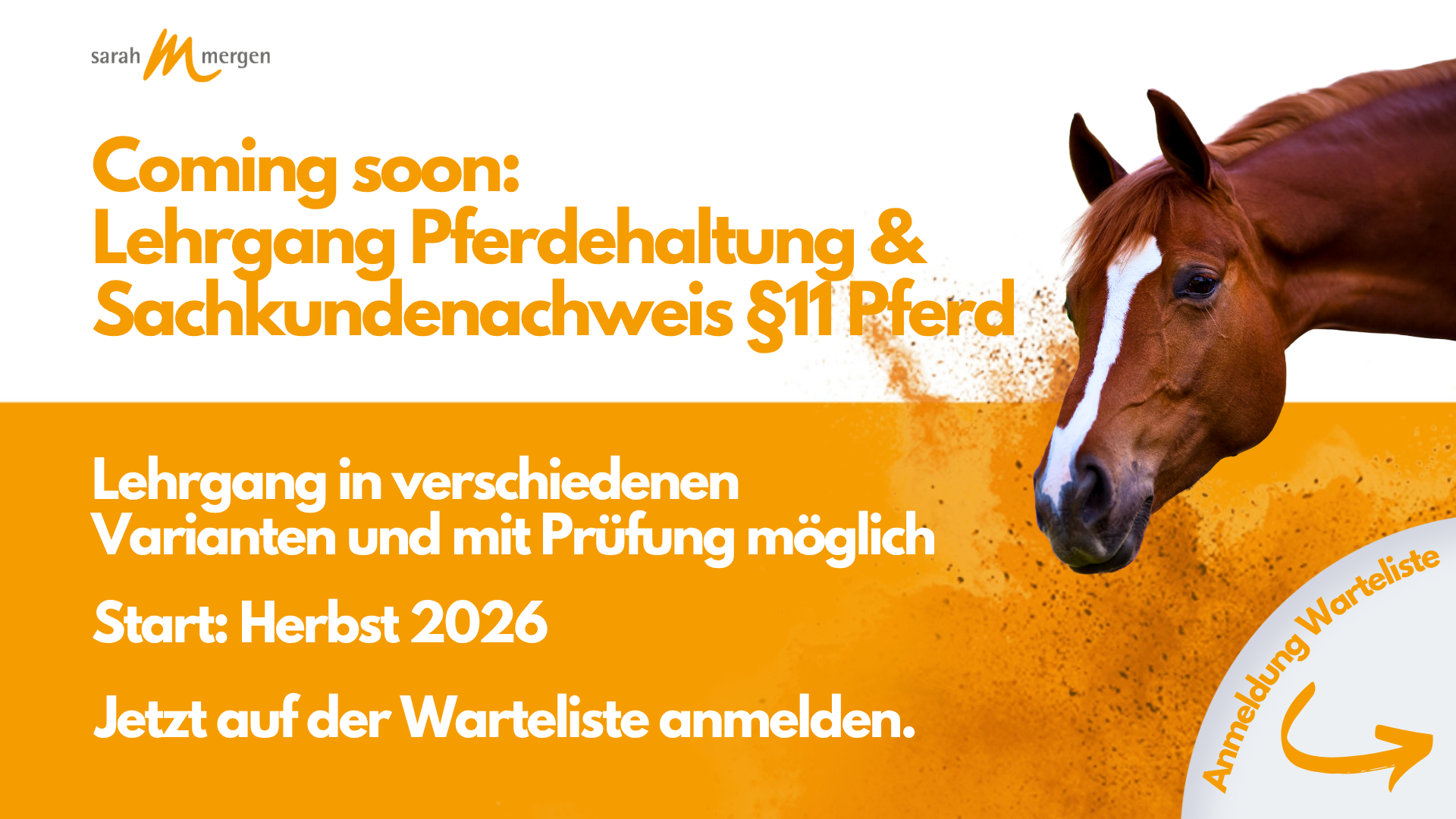 Sachkundenachweis Pferd