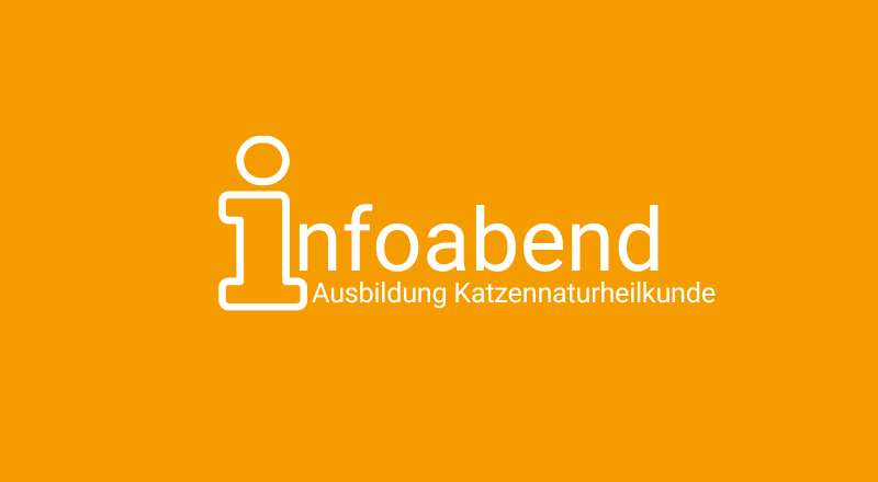 Infoabend über die Ausbildung in Katzenheilkunde