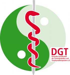 Logo DGTeV