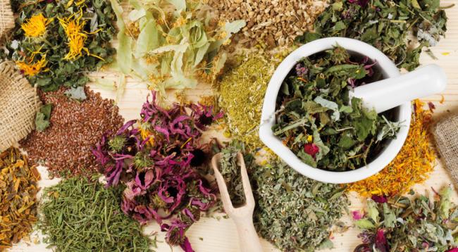 chinesische Phytotherapie Ausbildung