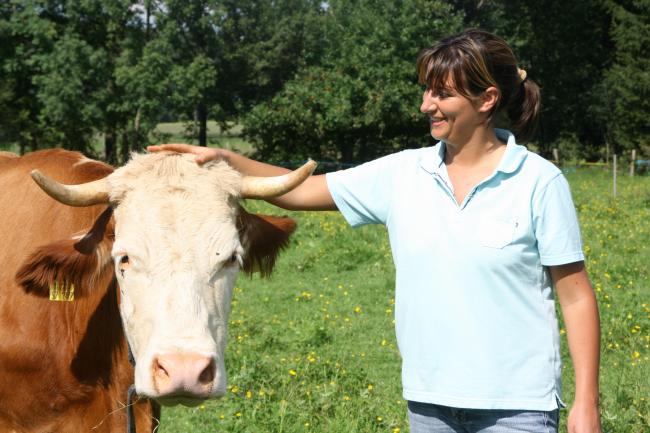 Ausbildung Naturheilverfahren am Rind