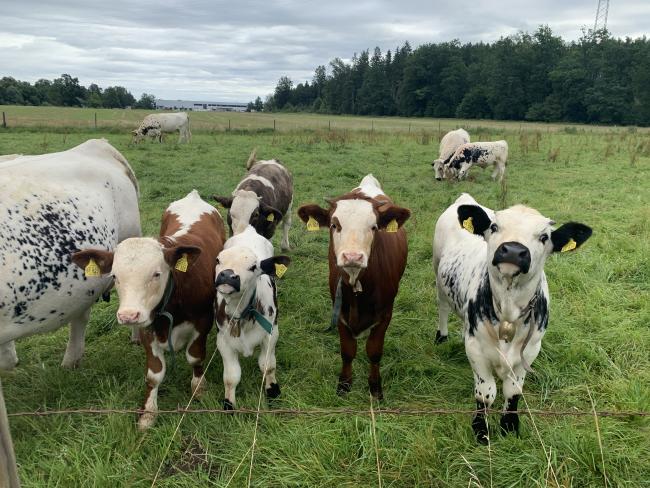 Landwirt Ausbildung