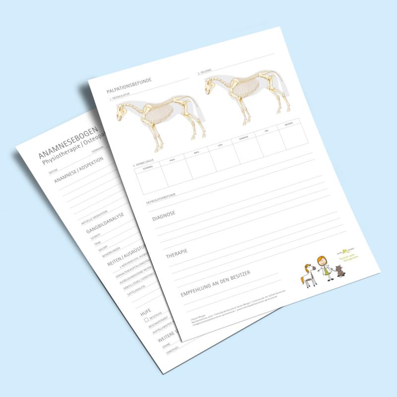 Anamnesebogen Manualtherapie Pferd